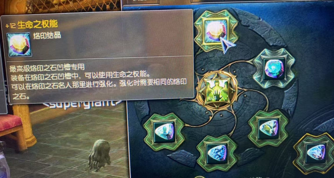 +12权能烙印一套