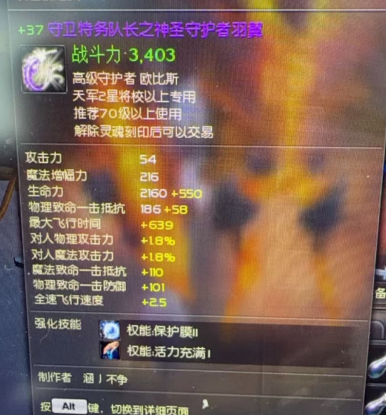 +37特务队长翅膀