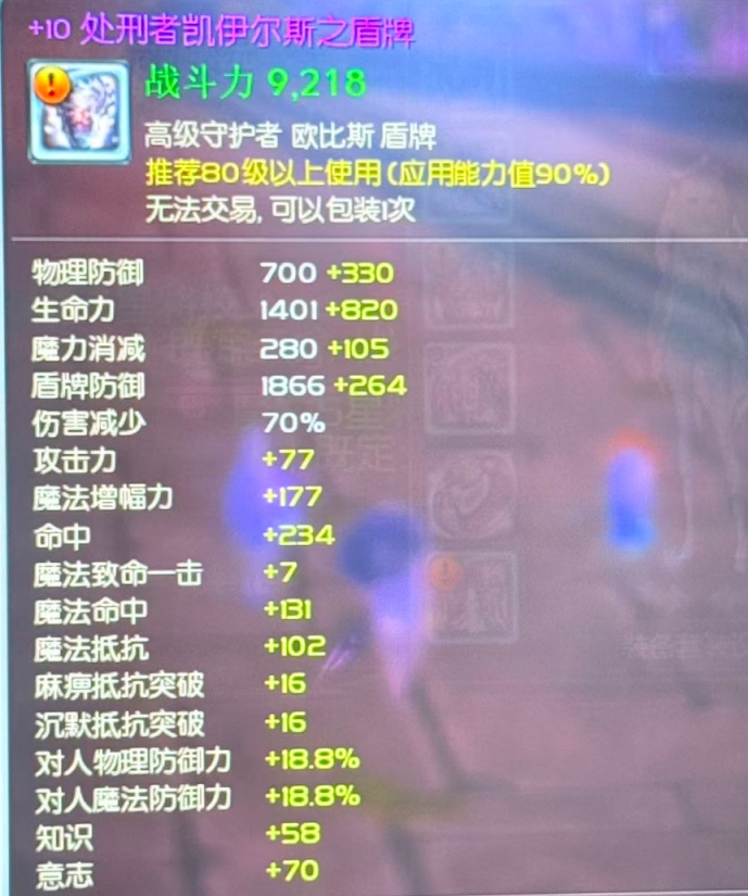 +10处刑者大凯子盾牌